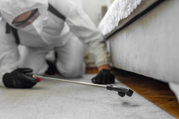 Professional Termite Control technician working in Wentzville, MO