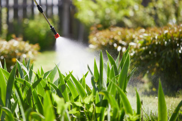 24/7 Emergency Termite Control experts in Wentzville, MO