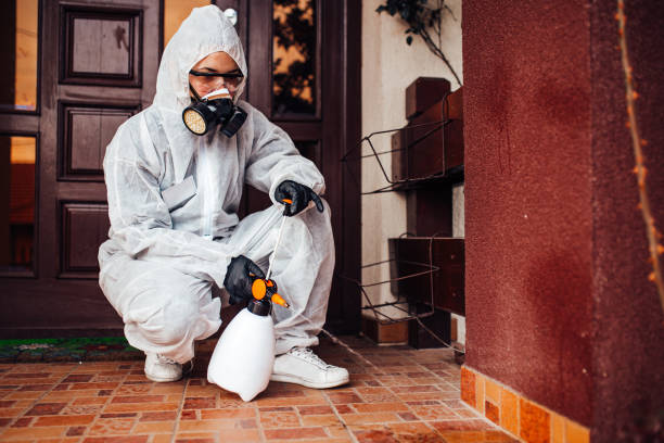 Reliable Termite Control contractor in Wentzville, MO by Nex Pest Control